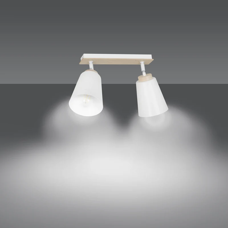 Plafonnier Blanc Et Bois