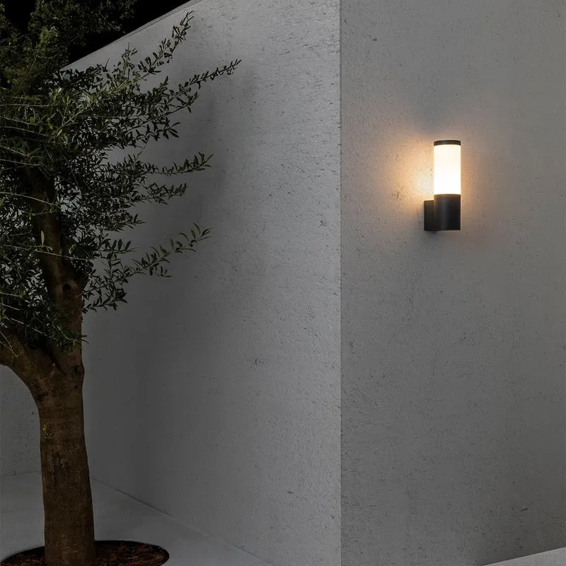 Faro Orwell Dark Grey Outdoor Wall Lamp with Camera