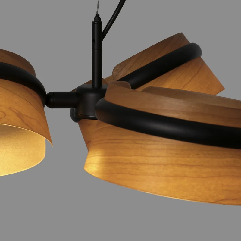 Faro Loop Pendant Lamp