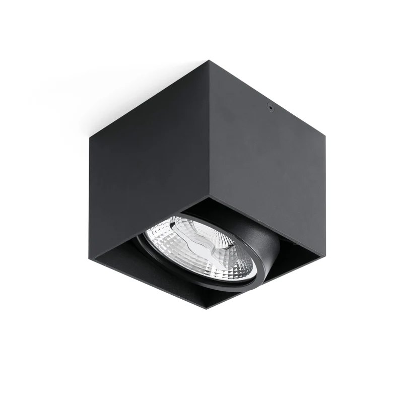 Faro Tecto 1L Ar111 Black Ceiling Lamp