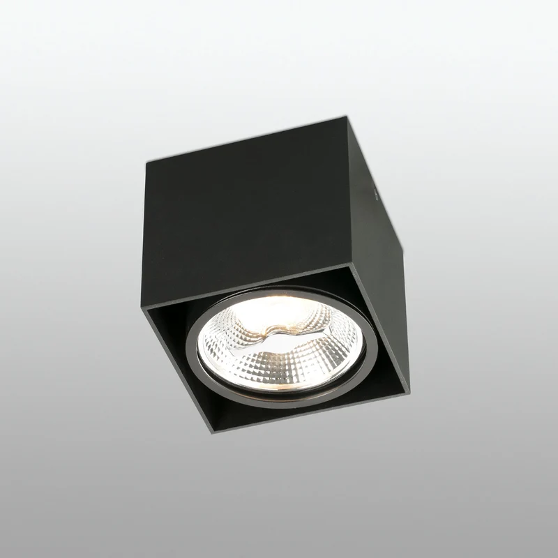 Faro Tecto 1L Ar111 Black Ceiling Lamp