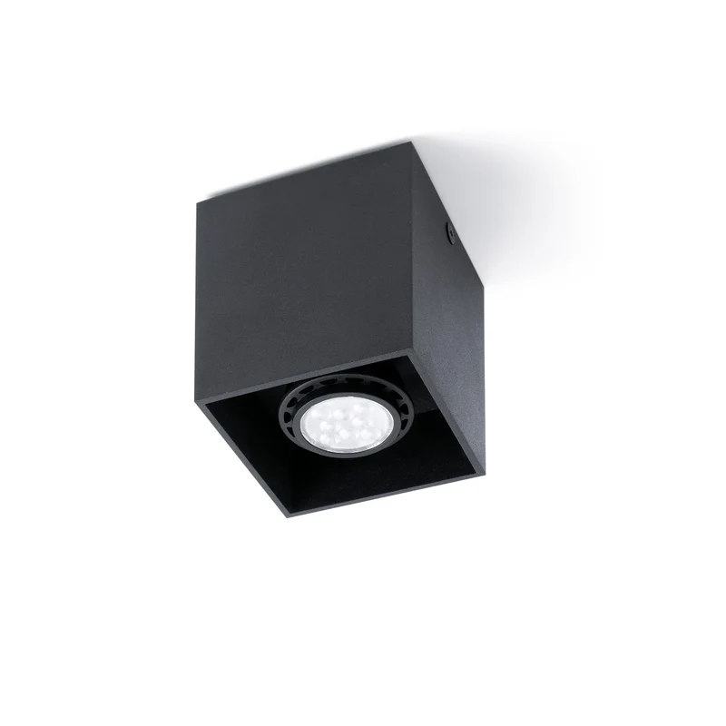 Faro Tecto 1L Ceiling Lamp