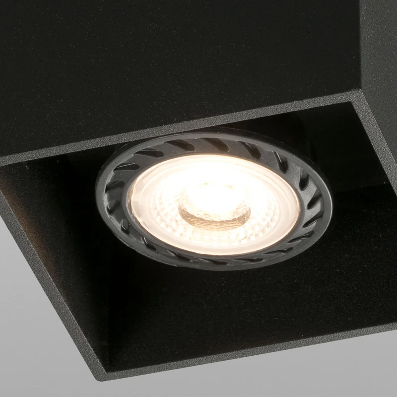 Faro Tecto 1L Ceiling Lamp