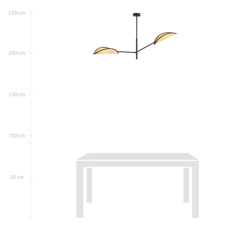 Vene 2 Black/Rattan