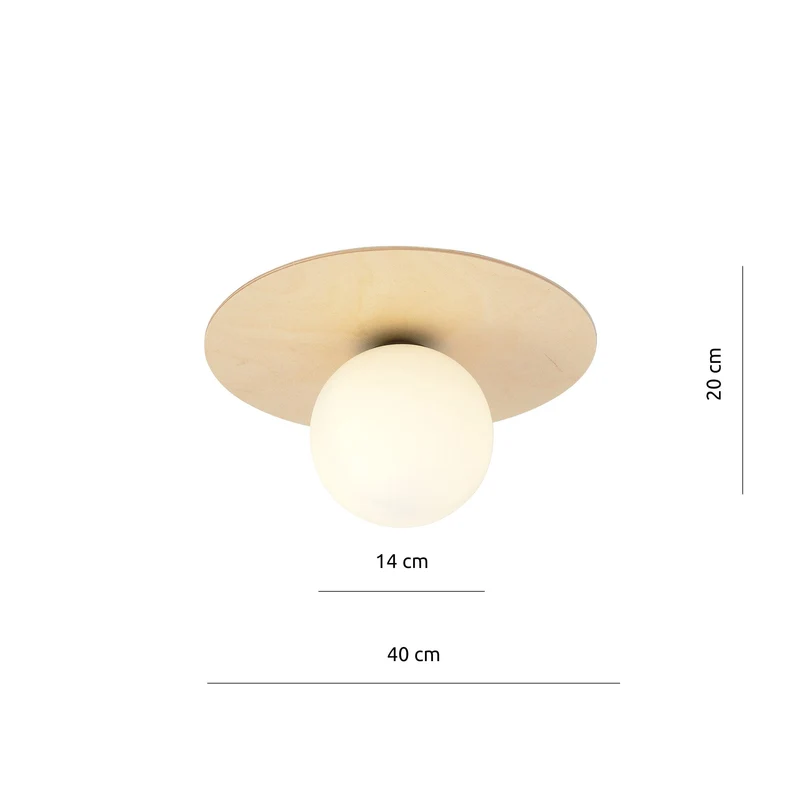 Grand Plafonnier Design