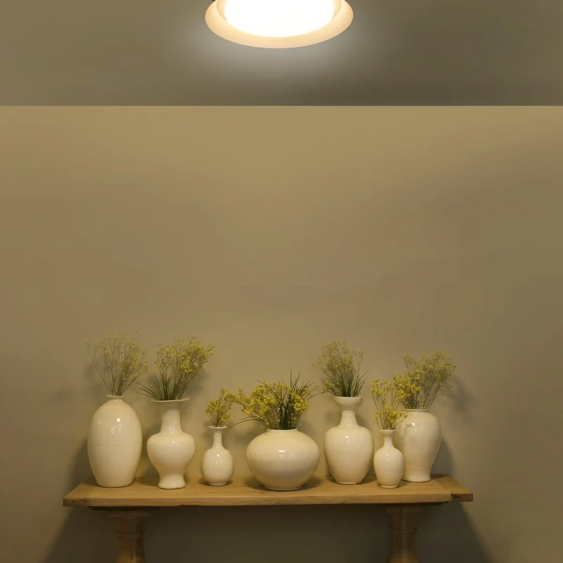 Faro Tender Ceiling Lamp