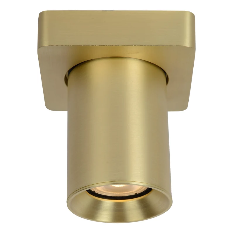 Lucide Nigel Ceiling Spotlight