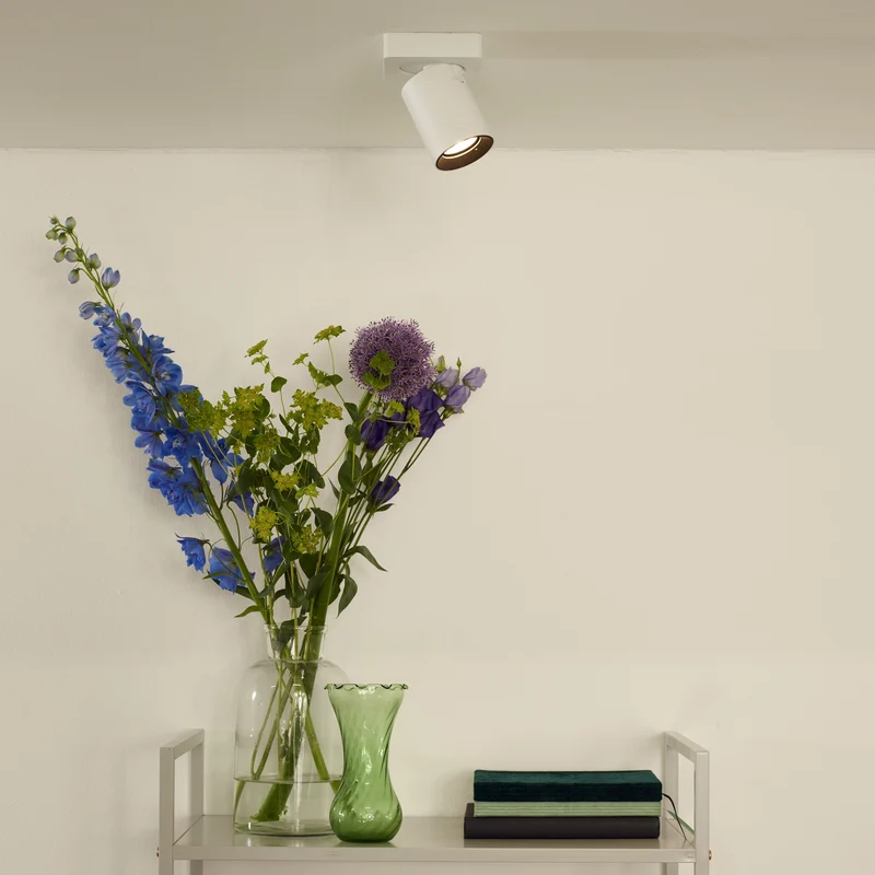 Lucide Nigel Ceiling Spotlight