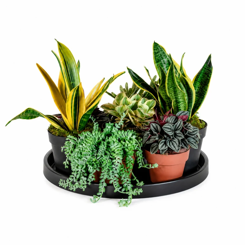Estiluz FLOWER POT SET (16cm) BOLS P-4028X 124028594