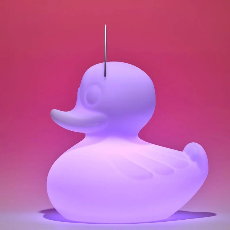 Goodnight Light The Duck Duck Lamp
