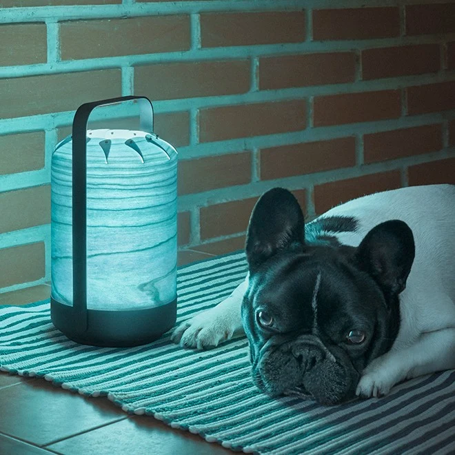 LZF Mini Chou LED Cordless Table Lamp