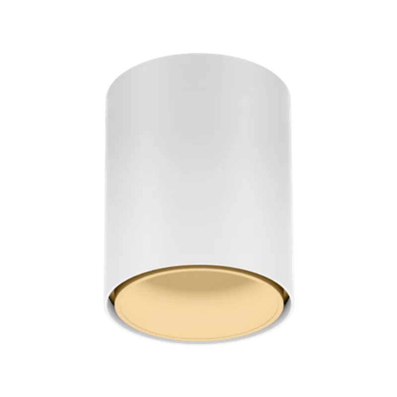 Wever & Ducré Ray Mini LED 1.0 Ceiling Lamp