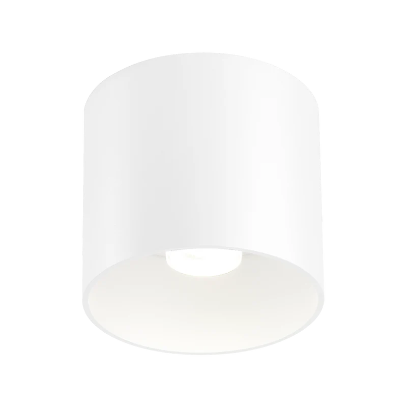 Wever & Ducré Ray LED DALI Ceiling Lamp