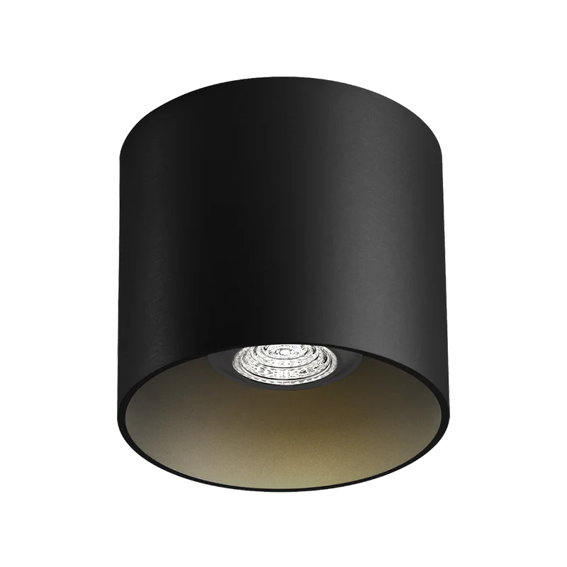 Wever & Ducré Ray PAR16 1.0 Ceiling Lamp