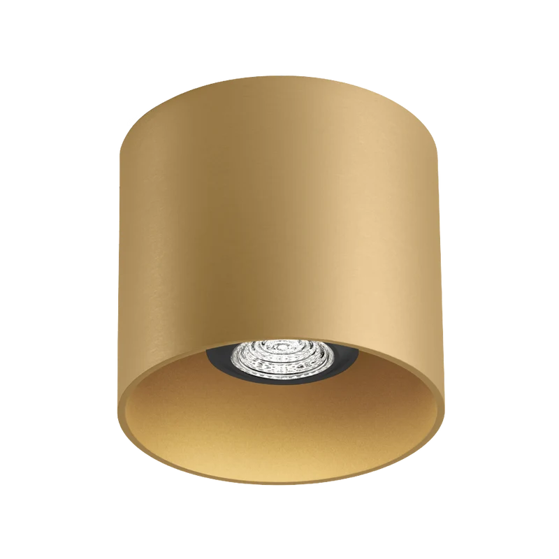 Wever & Ducré Ray PAR16 1.0 Ceiling Lamp