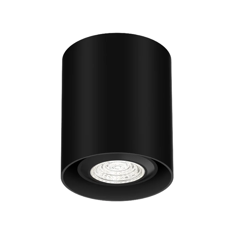 Wever & Ducré Ray Mini PAR16 1.0 Ceiling Lamp