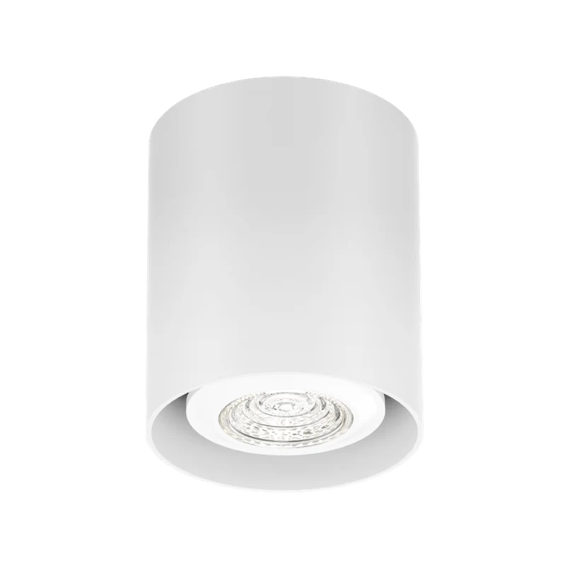 Wever & Ducré Ray Mini PAR16 1.0 Ceiling Lamp