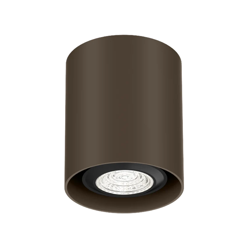 Wever & Ducré Ray Mini PAR16 1.0 Ceiling Lamp