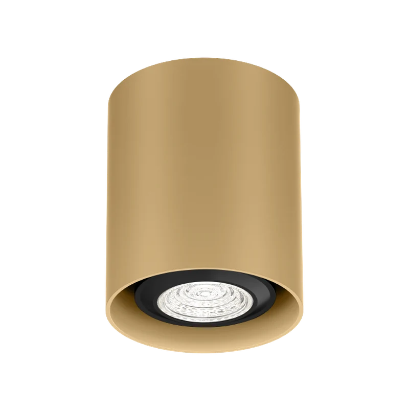 Wever & Ducré Ray Mini PAR16 1.0 Ceiling Lamp
