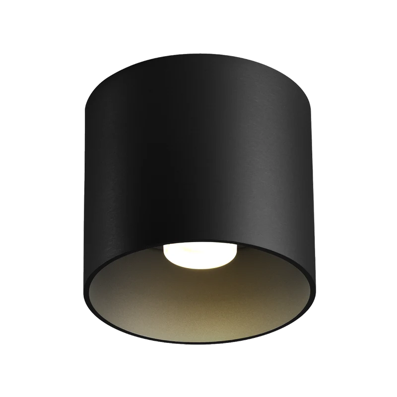 Wever & Ducré Ray LED 1.0 Ceiling Lamp