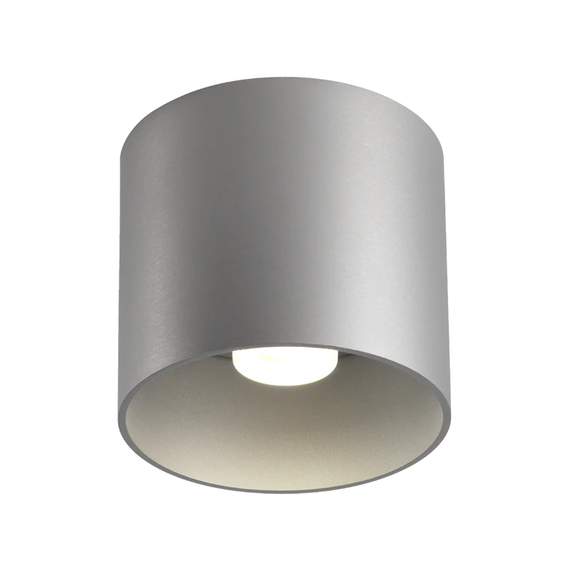 Wever & Ducré Ray LED 1.0 Ceiling Lamp