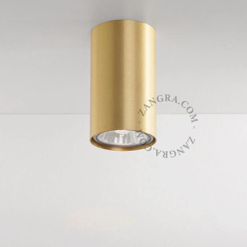 Zangra Surface Mounted Downlight