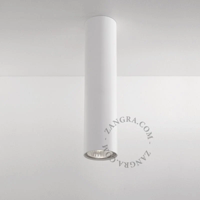 Zangra Surface Mounted Downlight