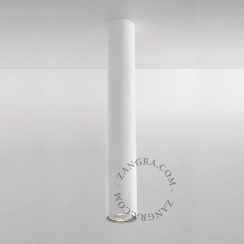 Zangra Surface Mounted Downlight