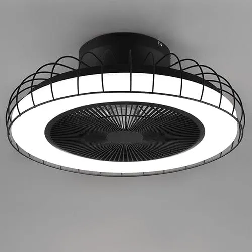 Ventilateur De Plafonnier