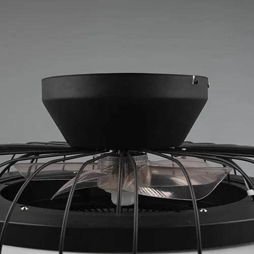 Ventilateur De Plafonnier
