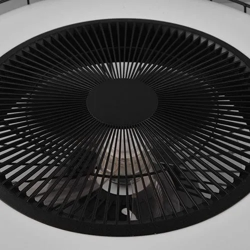 Ventilateur De Plafonnier