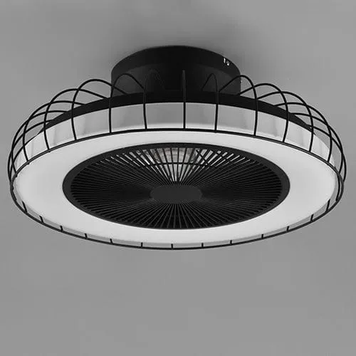 Ventilateur De Plafonnier