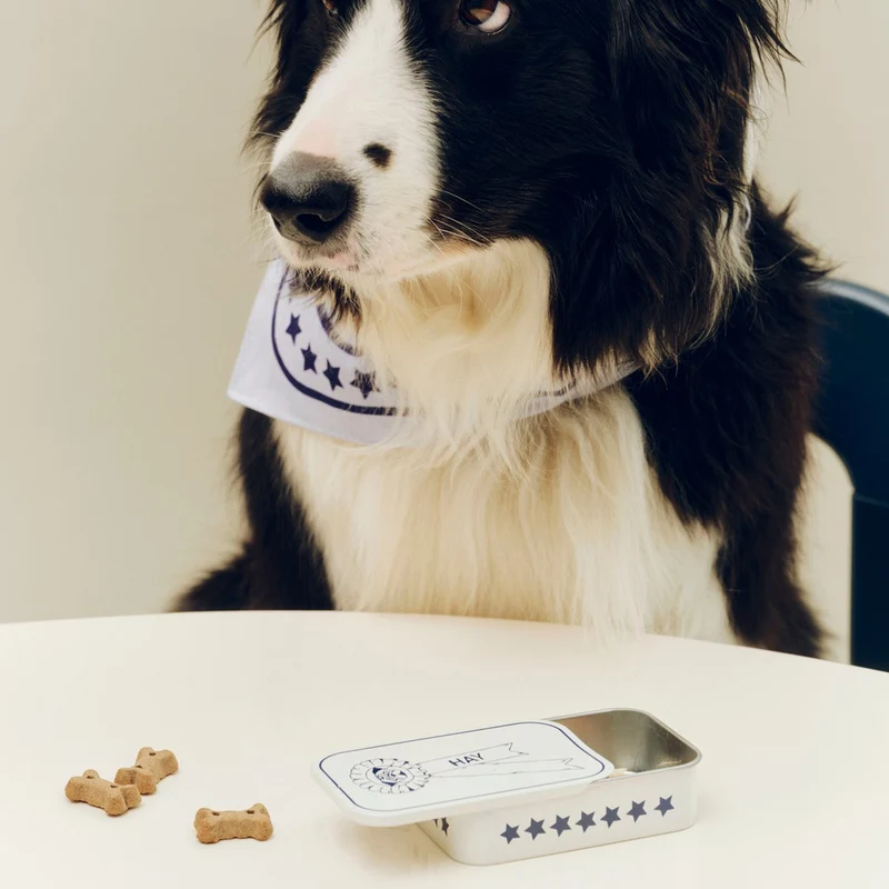 Hay Dogs Treat Tin