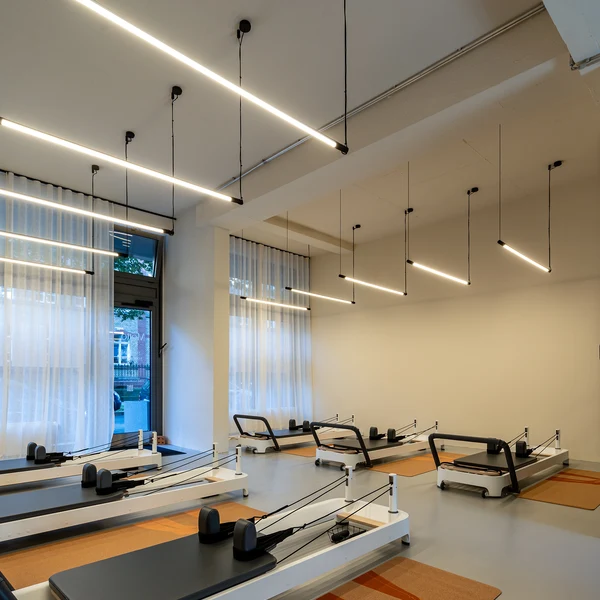 Wever & Ducre Darf Pendant Lamp