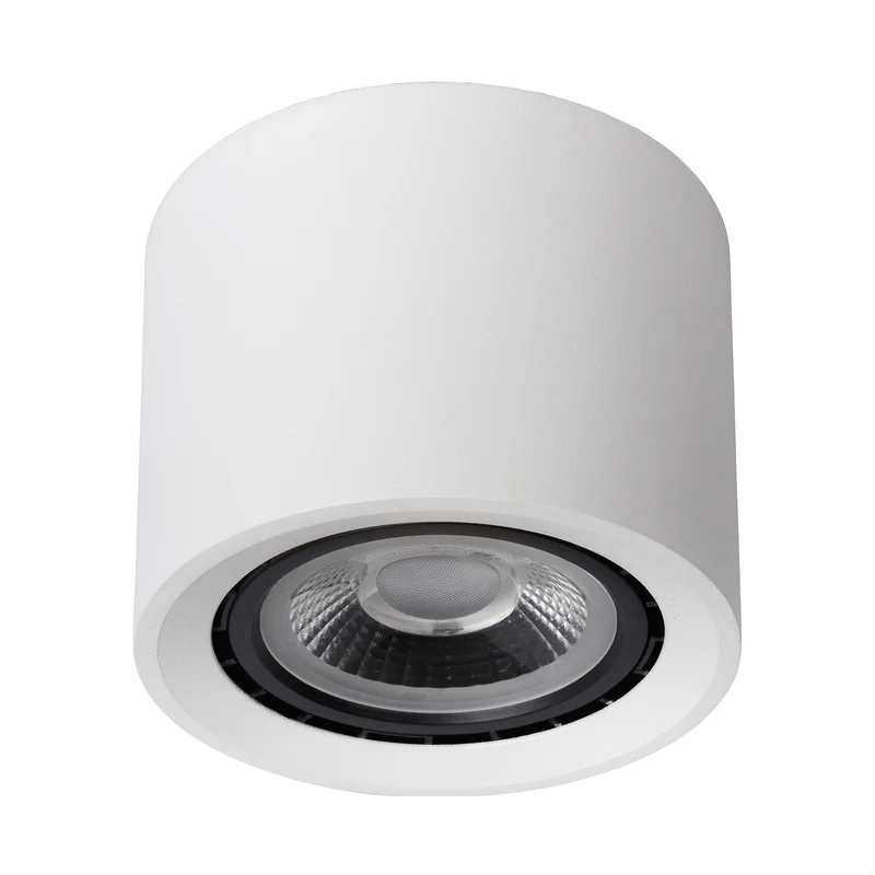 Lucide Fedler Ceiling Spot