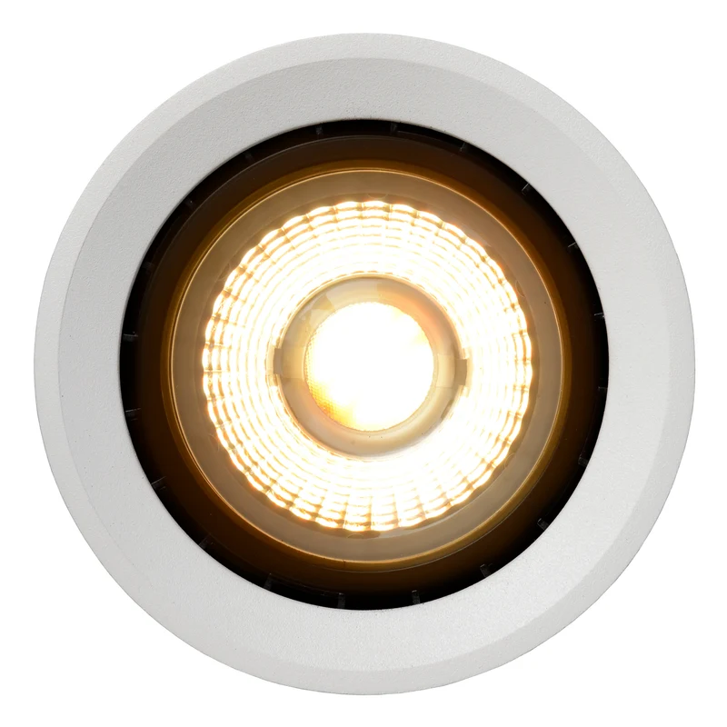 Lucide Fedler Ceiling Spot