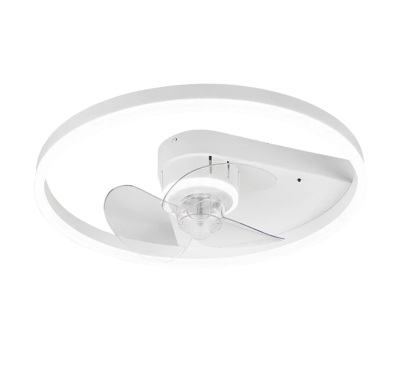 Ventilateur Plafonnier Avec Lumière