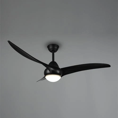 Ventilateur Plafonnier Noir