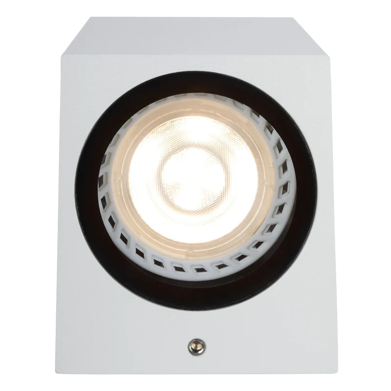 Lucide Zaro Outdoor Wall Lamp