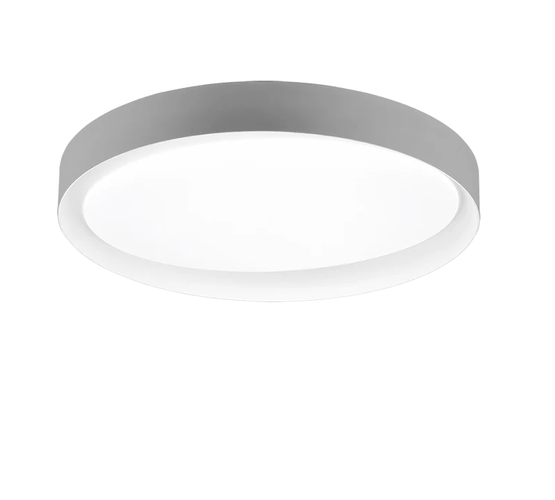 Led Plafond Salon