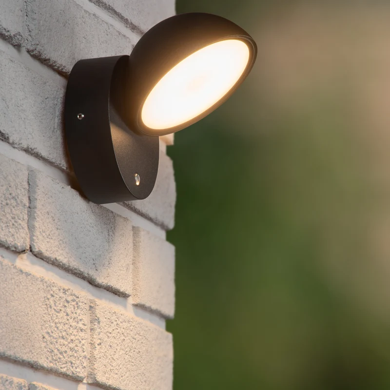 Lucide Finn Outdoor Wall Lamp