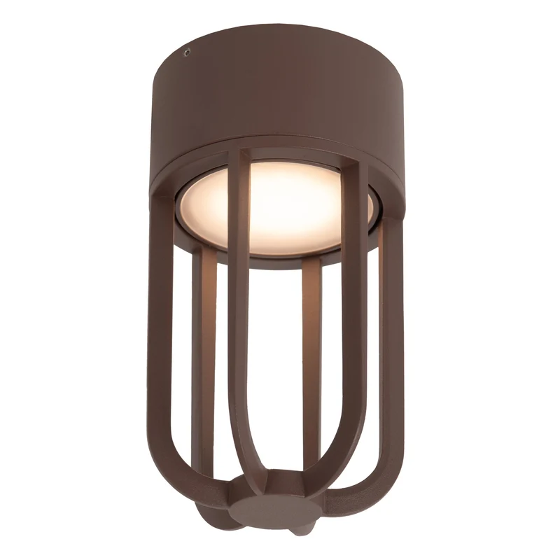 Lucide Wells Outdoor Ceiling Light