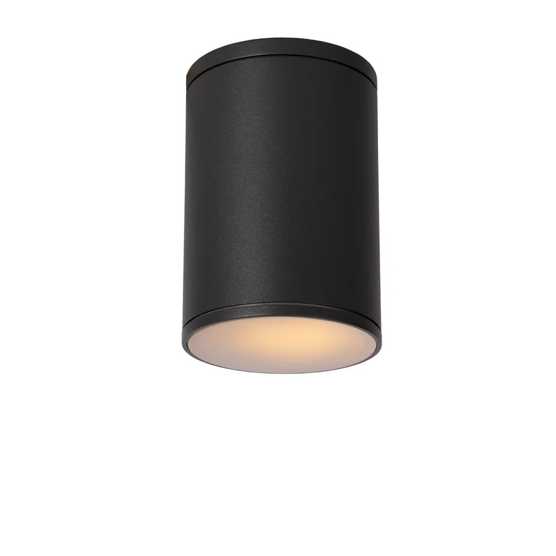 Lucide Tubix Outdoor Ceiling Spot