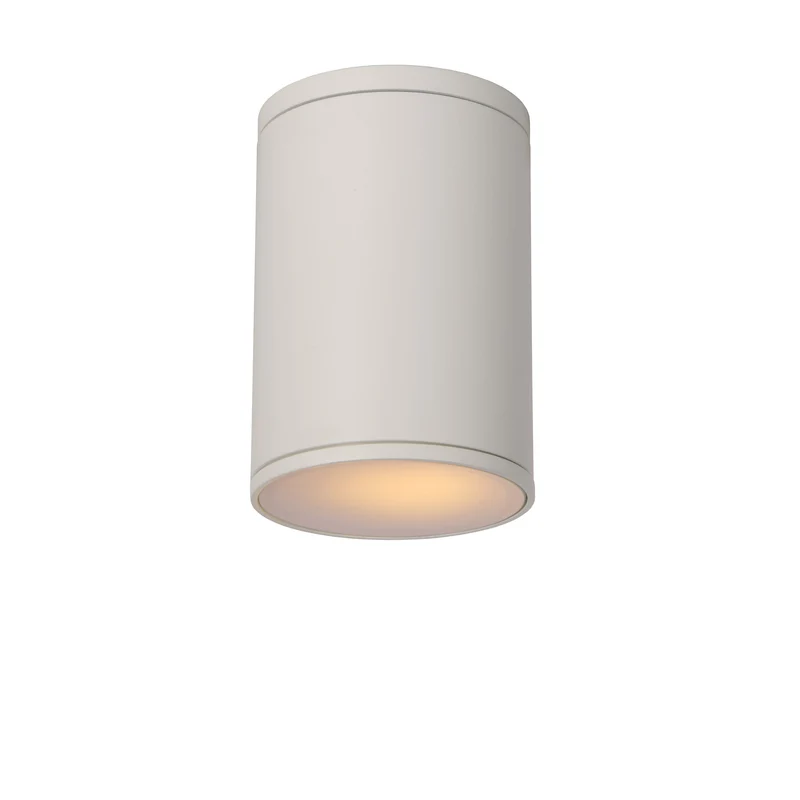 Lucide Tubix Outdoor Ceiling Spot