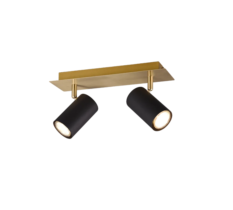 Plafonnier Deux Ampoules