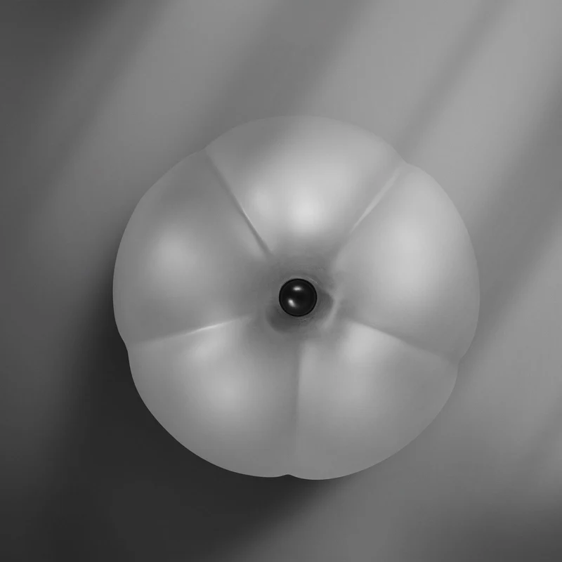 Schwung Hana Ceiling / Wall Lamp
