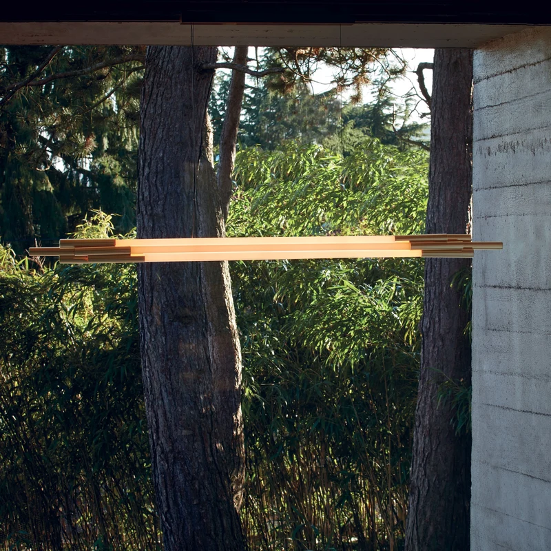 DCWéditions Org Horizontal Pendant