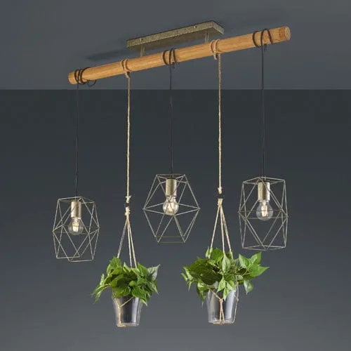 Suspension Nature