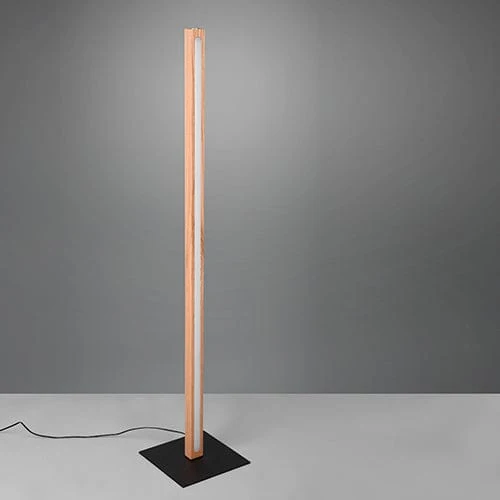 Lampadaire Intérieure