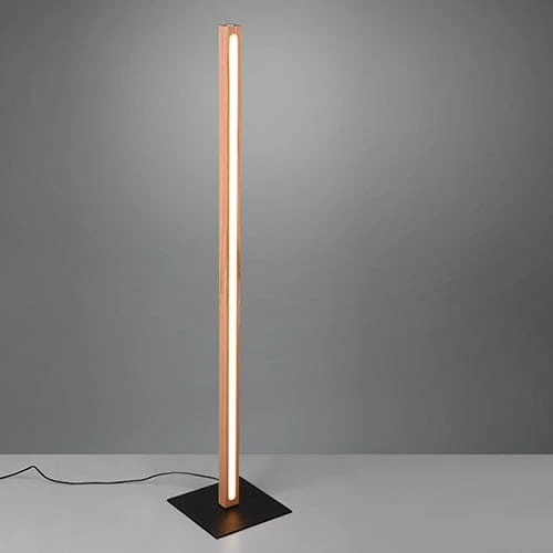 Lampadaire Intérieure